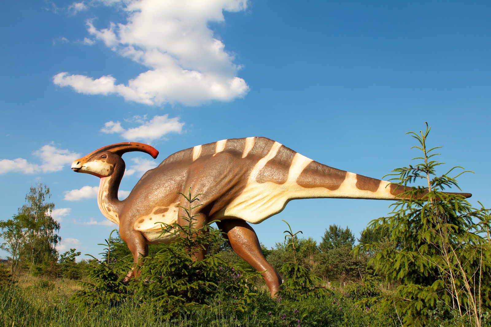Зауролоф динозавр красивые фото и картинки