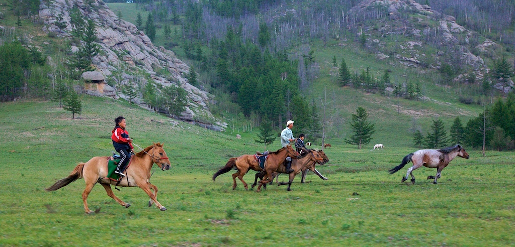 Mongolian hevosia